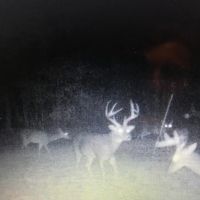 43 Acres in Holmes County MS images 2