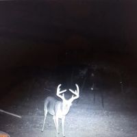 43 Acres in Holmes County MS images 3