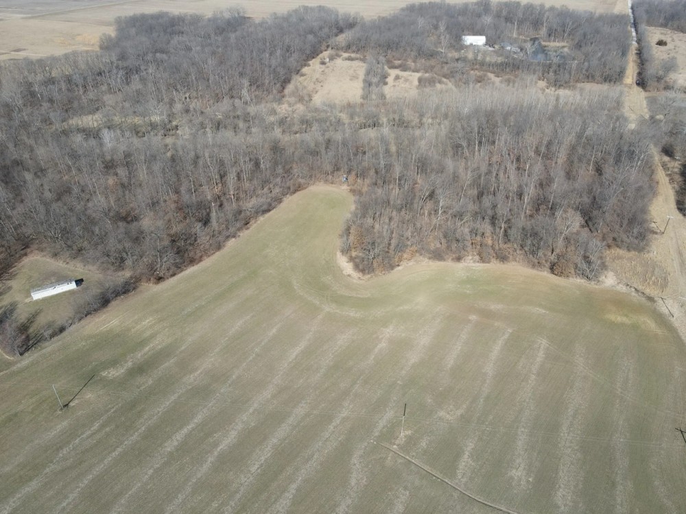40 Acre Diverse Illinois Hunting Property for Sale Fayette County featured image