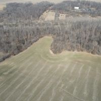 40 Acre Diverse Illinois Hunting Property for Sale Fayette County