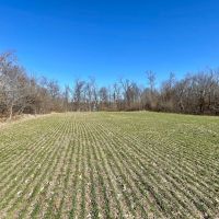40 Acre Diverse Illinois Hunting Property for Sale Fayette County images 2