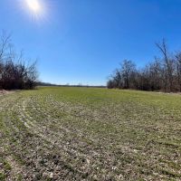 40 Acre Diverse Illinois Hunting Property for Sale Fayette County images 3