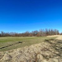 40 Acre Diverse Illinois Hunting Property for Sale Fayette County images 4