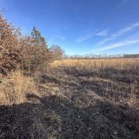 37 - ACRES 300 N GROVERTOWN IN 46531 STARKE COUNTY RECREATIONAL POTENTIAL BUIDABLE LAND FOR SALE images 3