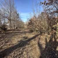 37 - ACRES 300 N GROVERTOWN IN 46531 STARKE COUNTY RECREATIONAL POTENTIAL BUIDABLE LAND FOR SALE images 4