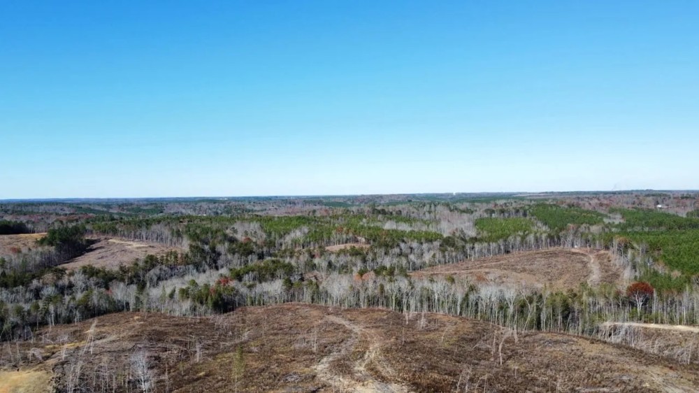 193 ac. Timber and Recreational Property in Winston Co. AL featured image