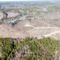 193 ac. Timber and Recreational Property in Winston Co. AL images 3