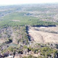 193 ac. Timber and Recreational Property in Winston Co. AL images 5
