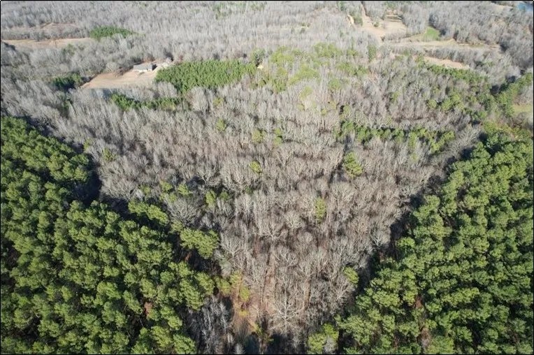 14 Acres in Grenada County in Grenada MS featured image