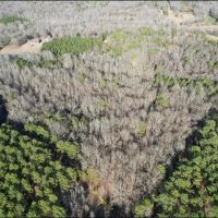 14 Acres in Grenada County in Grenada MS images 1