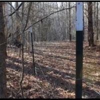 14 Acres in Grenada County in Grenada MS images 3
