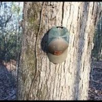 14 Acres in Grenada County in Grenada MS images 4