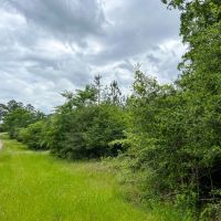 38 Acres T-4 CR 2145 images 3