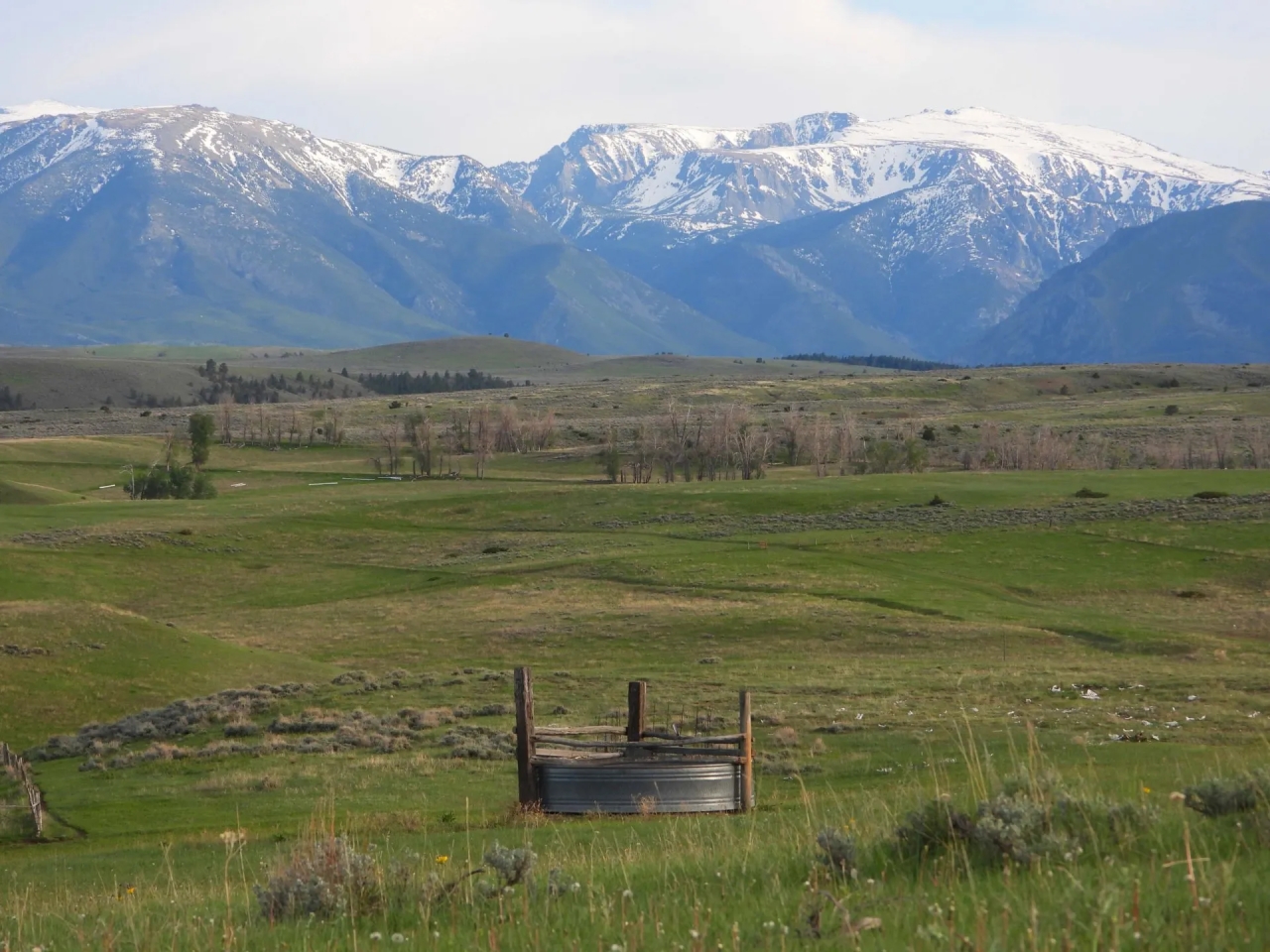 Beartooth Overlook Hunting Land for Sale