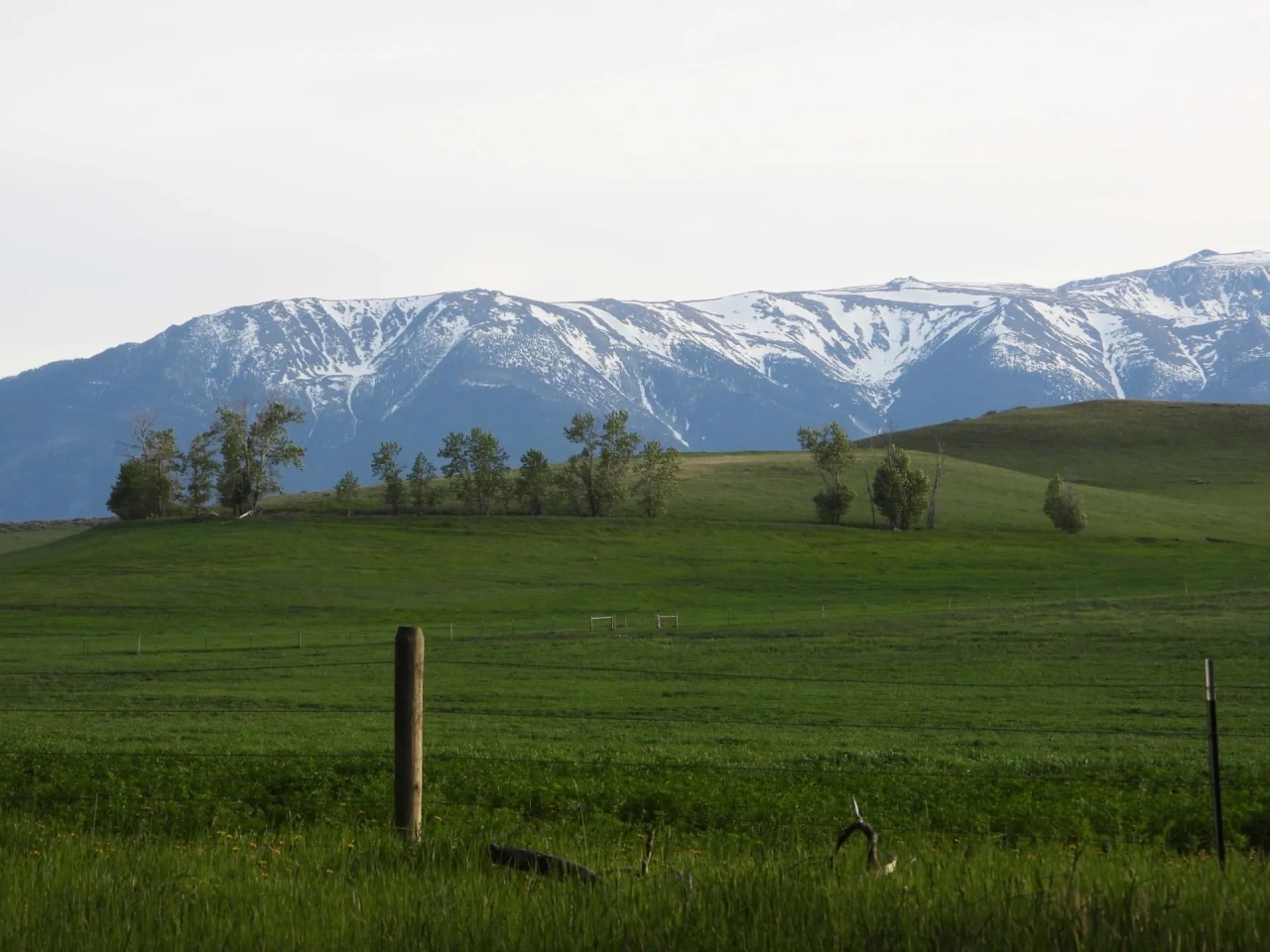 Beartooth Overlook Hunting Land for Sale