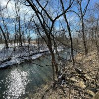 10.3 - Acres for Sale - Monticello Indiana - White County images 5
