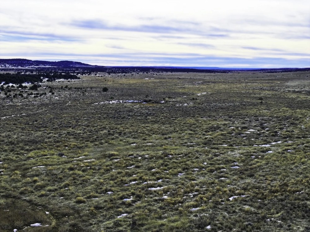 Homestead Ranch featured image