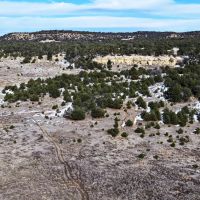 Homestead Ranch images 4