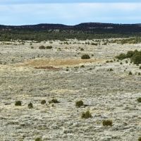Homestead Ranch images 5