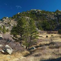 ELK HAVEN, AREA 7 WYOMING By the Week