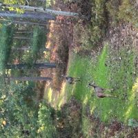 Beautiful Sportsman s Retreat Jackson County WI images 5