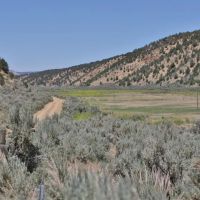 Rifle Colorado Mountain 120 Acres for Sale images 2