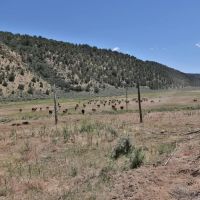 Rifle Colorado Mountain 120 Acres for Sale images 5