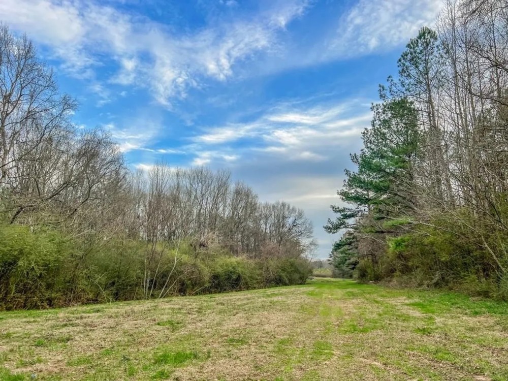 Recreational Lot for Sale in Brookhaven MS featured image