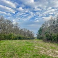 Recreational Lot for Sale in Brookhaven MS images 4