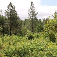 Nickel Mountain Ranch images 2