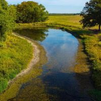 Hopkins County 64 Acres images 2