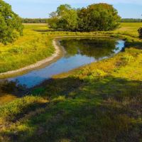 Hopkins County 64 Acres images 3