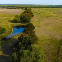 Hopkins County 64 Acres images 5