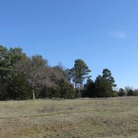 Quinton 123 Acres M L - RS