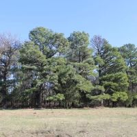 Quinton 123 Acres M L - RS images 2