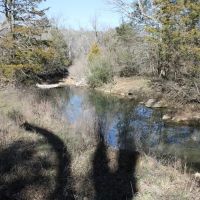 Quinton 123 Acres M L - RS images 3