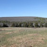 Quinton 123 Acres M L - RS images 5