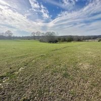 Pastureland for Sale in Kentwood LA