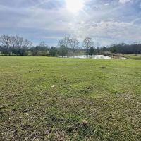 Pastureland for Sale in Kentwood LA images 2