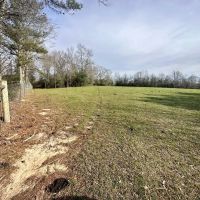 Pastureland for Sale in Kentwood LA images 3