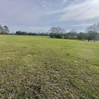 Pastureland for Sale in Kentwood LA images 4
