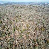 Osage 159 images 5