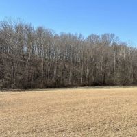 1775 Hayes Road images 4