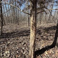 1775 Hayes Road images 5