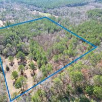25 Acres of Land for Sale with No Restrictions in NPSD images 2
