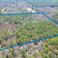 25 Acres of Land for Sale with No Restrictions in NPSD images 4