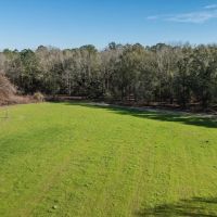 483 of Great Hunting and Timber Investment in Macon County AL images 2