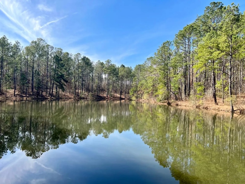 Hunting ponds timber and mobile home featured image