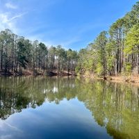 Hunting ponds timber and mobile home