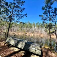 Hunting ponds timber and mobile home images 2